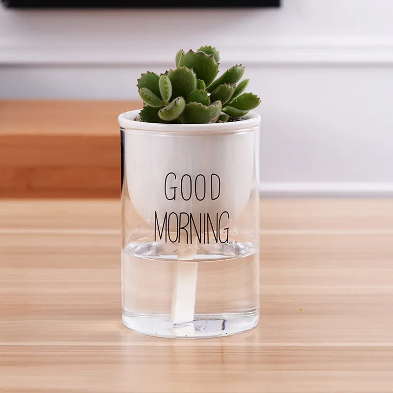 Cache pot verre orchidée
